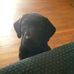 Nicholas Riehl - Facebook