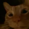 Nicholas_Riehl - @nicholas_riehl - TikTok