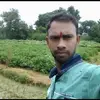 Dhvanish_Shah - @nicholas.ringrosee - TikTok