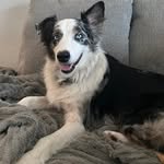 Julie Nicholas Robillard - @jules_flies - Instagram