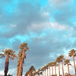Nicholas Rowan - @jerny.photos - Instagram