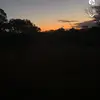 Nicholas Rowley - @nickrowley08 - TikTok