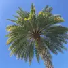 nicholasruffolo16 - @nicholasruffolo16 - TikTok