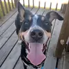 Nick Runge - @nicholas.runge - TikTok