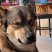 Nicholas Schilling - Facebook
