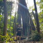 Nicholas Schilling - @nschill - Instagram