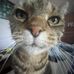 Nicholas Schilling - Facebook