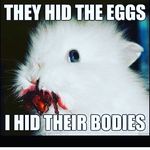 Nicholas Shaffer - @shaffer4279 - Instagram
