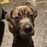 Nicholas Shaffer - @shaffer681 - Instagram