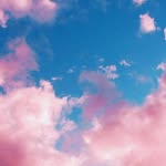 Nicholas Shane Hill - @nicholasshanehill - Instagram