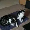 Nicholas Shore - @nicholas.shore6 - TikTok