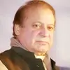 sameerkamil - @nicholas.shores - TikTok