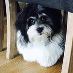 Nicholas Shores - @shores.nicholas - Instagram