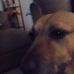 Nicholas Sisk - Facebook