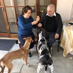 Nicholas Spanos - @nicholasspanos - Instagram