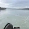 nicholasstacey1 - @nicholasstacey1 - TikTok