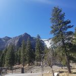 Nicholas Sterling - @nicksterling308 - Instagram