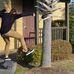 Nick Stover - Facebook