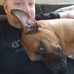 Nicholas Strauss - Facebook