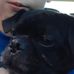 Nicholas Stroud - Facebook