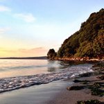 Nicholas Surber - @scannertentaru - Instagram