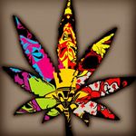 nicholas sweet - @nick_sweet14_ - Instagram