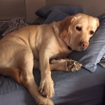 Nicholas Switzer - @naswitzer - Instagram
