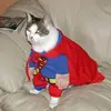 nicholas_switzer - @nicholas_switzer - TikTok