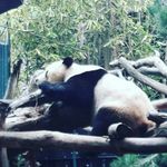 Nicholas Sylvester Skjaerbaek - @nicholassylvesterskjaerbaek - Instagram