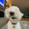 Nick - @nicholassyme - TikTok