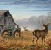 Nicholas Tapley - Facebook