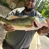 Nicholas Tapley - @nicholas.tapley - TikTok