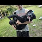 Nick Telfer - Facebook