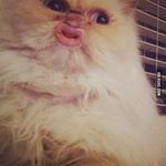 Nicholas Terrell - @bdk_nick74 - Instagram