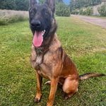 Nicholas Thackeray - @nicholas_thackeray - Instagram