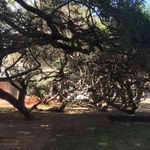 Nicholas Theisen - @nicholastheisen - Instagram