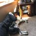 Nick Theis - Facebook