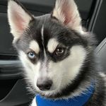 xxXNicholasXxx - @nicholas_thelen11 - Instagram