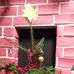 Nick Tibbetts - Facebook