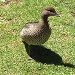 Nicholas Toole - @nicholas_toole - Instagram