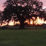 Nicholas Paul Trahan - @ntrahan - Instagram