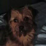 Nicholas - @nicholastullochyahoo - Instagram
