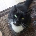 Nicholas Tye - @nicholas.tye.50 - Instagram