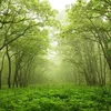 Nicholas - @nicholas.underhill - TikTok