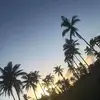 nicholasvailea - @nicholasvailea - TikTok