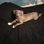 Nicholas Vaughan - @nicholas.vaughan - Instagram