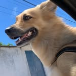Nicholas Moraes Veiga - @_nicholasveiga - Instagram