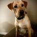 Nicholas Walby - Facebook