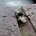 Nicholas Walby - Facebook
