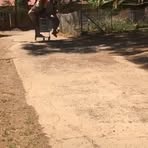Nicholas Walcott - Facebook